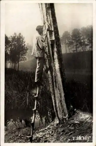 Ak Pays Landais, Foret de Biscarosse, Gemmage bei Pite am Rande der Lagunen