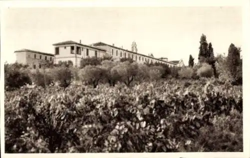 Ak Montpellier Hérault, Nazareth, vue d'ensemble et vignoble