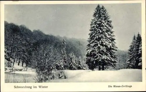 Ak Schwarzburg in Thüringen, Winteransicht, Riesen-Zwillinge