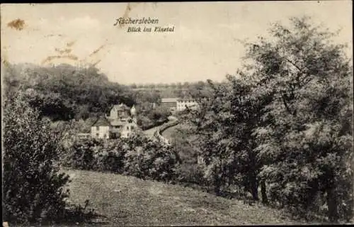 Ak Aschersleben im Salzlandkreis, Teilansicht, Einetal