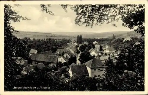 Ak Stecklenberg Thale im Harz, Totalansicht