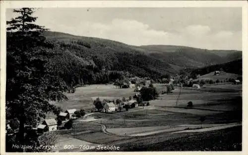 Ak Holzhau Rechenberg Bienenmühle Erzgebirge, Gesamtansicht