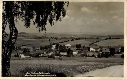 Foto Ak Falkenhain Altenberg im Osterzgebirge, Panorama