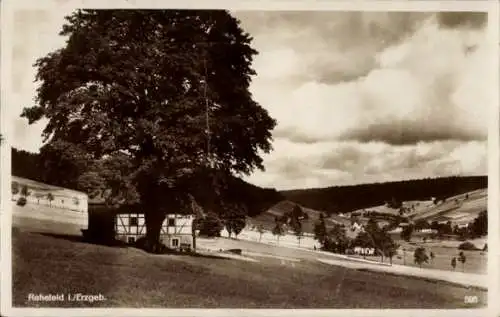 Ak Rehefeld Zaunhaus Altenberg im Erzgebirge, Blick auf die Landschaft, Fachwerkhaus, Baum