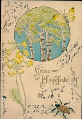 Präge Litho Glückwunsch Pfingsten, Maikäfer, Birken, Schmetterling, Blumen