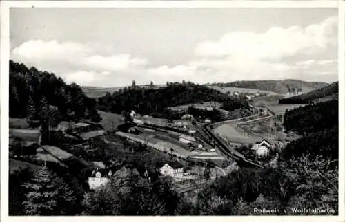 Ak Roßwein in Sachsen, Wolfstal, Panorama