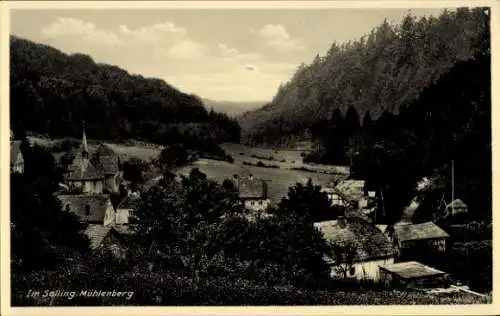 Ak Mühlenberg Holzminden im Weserbergland, Teilansicht, Sollinger Wald