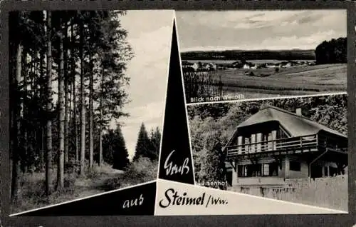 Ak Steimel im Westerwald, Luisenhof, Waldpartie, Panorama, Weroth