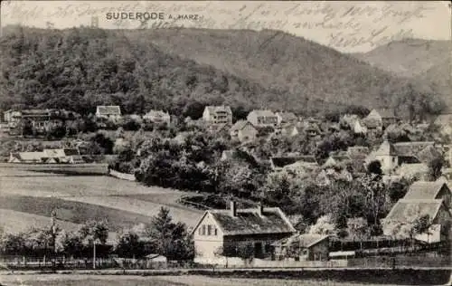 Ak Bad Suderode Quedlinburg im Harz, Teilansicht