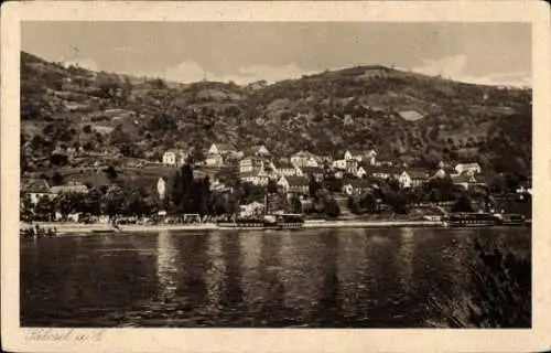 Ak Dolní Zálezly Salesel an der Elbe Region Aussig, Panorama