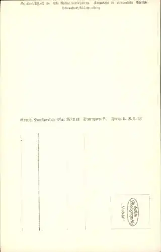Ak Radolfzell am Bodensee, Luftbild, Schiff