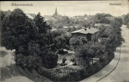 Ak Schwarzenbek in Lauenburg, Panorama