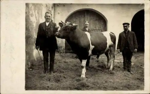 Foto Ak Dresden, Männer mit Rind