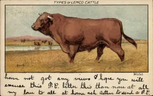 Künstler Ak Types of Lemco Cattle, Welsh