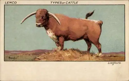 Künstler Ak Types of Lemco Cattle, Longhorn