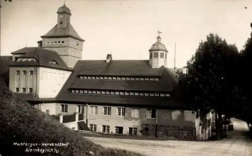 Ak Wernesgrün Steinberg im Vogtland, Mustergut, Hermannshof