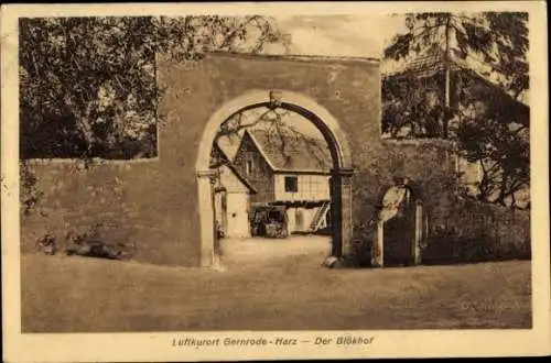 Ak Gernrode Quedlinburg im Harz, Blökhof