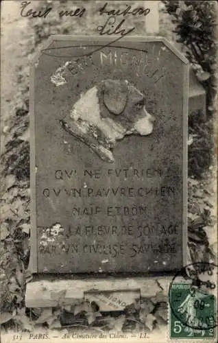 Ak Asnières sur Seine Hauts-de-Seine, Innenraum des Hundefriedhofs, Grabstein