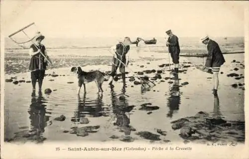 Ak Saint Aubin sur Mer Calvados, Peche a la Crevette