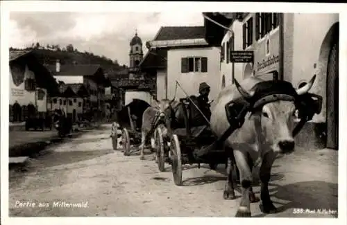 Ak Mittenwald im Kreis Garmisch Partenkirchen, Bauer mit Viehwagen, Geschäft, Inh. Jodef Leuthner