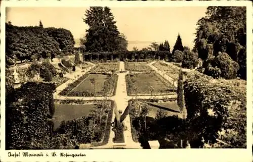 Ak Insel Mainau im Bodensee, Rosengarten