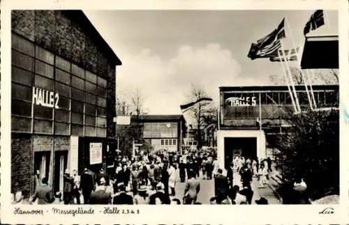 Ak Hannover in Niedersachsen, Messegelände, Ausstellungshallen 2, 3 und 5