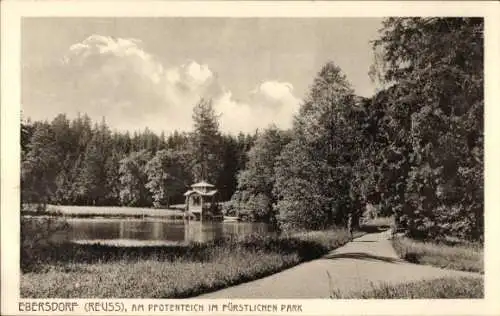 Ak Ebersdorf in Thüringen, Kurfürstlicher Park, Pfotenteich