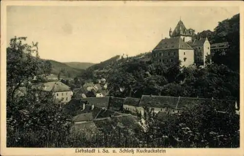 Ak Liebstadt Erzgebirge Sachsen, Schloss Kuckuckstein