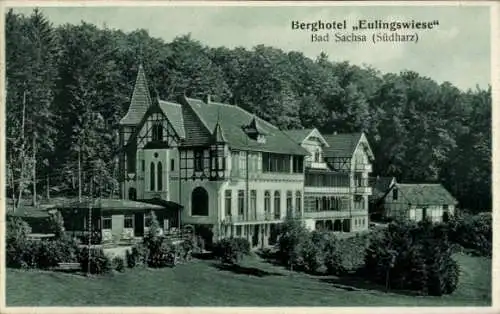 Ak Eulingswiese Bad Sachsa im Harz, Berghotel