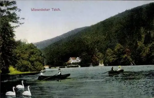 Ak Wiesenbek Bad Lauterberg im Harz, Wiesenbeker Teich