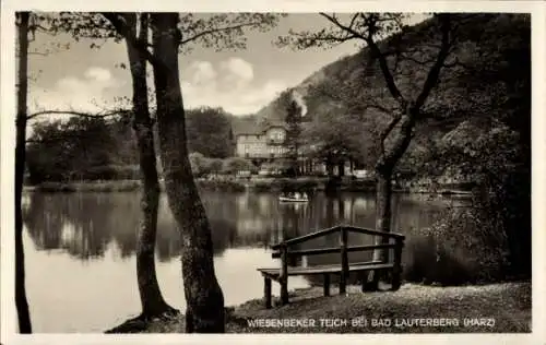 Ak Wiesenbek Bad Lauterberg im Harz, Wiesenbeker Teich