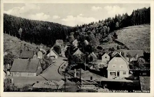 Ak Tanne Oberharz am Brocken, Blick in die Waldstraße, Ortspartie