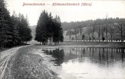 Ak Benneckenstein Oberharz, Hüttenmühlenteich