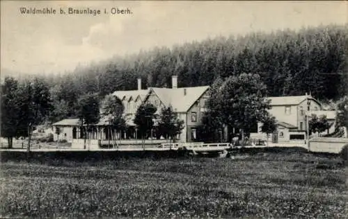 Ak Braunlage im Oberharz, Waldmühle