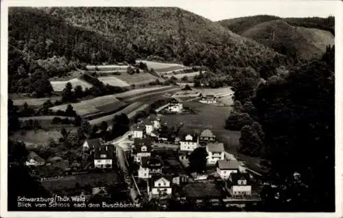 Ak Schwarzburg im Schwarzatal Thüringen, Blick vom Schloss nach dem Buschbachtal