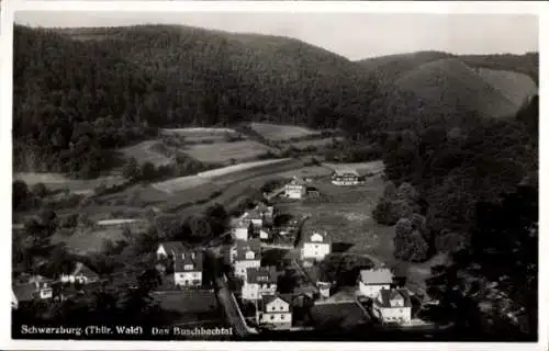 Ak Schwarzburg im Schwarzatal Thüringen, Buschbachtal