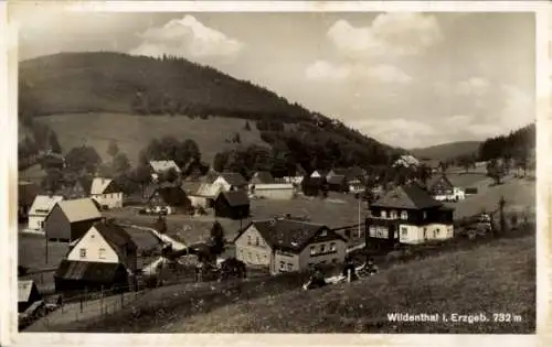 Ak Wildenthal Eibenstock im Erzgebirge, Gesamtansicht