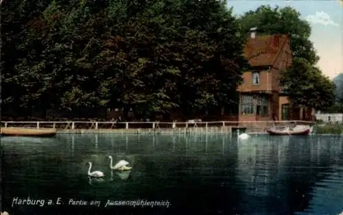 Ak Hamburg Harburg, Außenmühlenteich, Schwäne