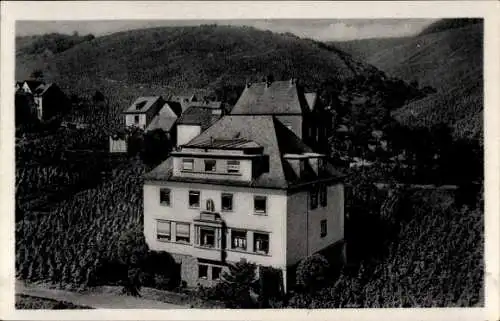 Ak Reil an der Mosel, Johanneshaus, Weinberge