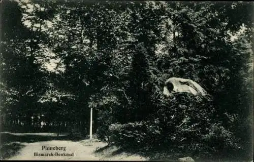 Ak Pinneberg in Holstein, Bismarck-Denkmal