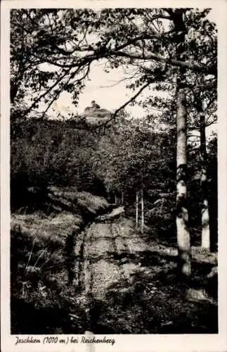 Ak Ještěd Jeschken Region Reichenberg, Waldweg, Jeschkenhaus