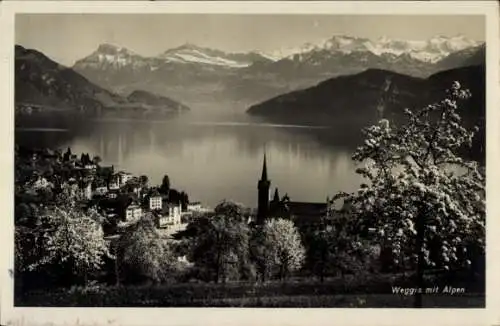 Ak Weggis Kanton Luzern, Panorama