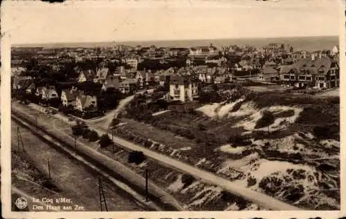 Ak De Haan Le Coq sur Mer Westflandern, Panorama