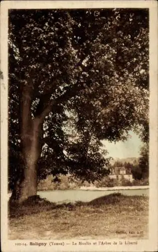 Ak Saligny Yonne, Mühle, l'Arbre de la Liberte