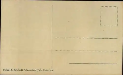 Ak Schwarzburg in Thüringen, Panorama, Trippstein