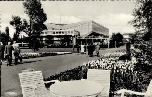 Ak Essen im Ruhrgebiet, Gruga-Park, Gruga-Halle