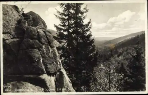 Ak Ilsenburg im Harz, Roggenstein, Suntal, Panorama