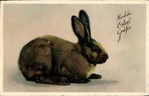 Ak Glückwunsch Ostern, Hase, Osterhase