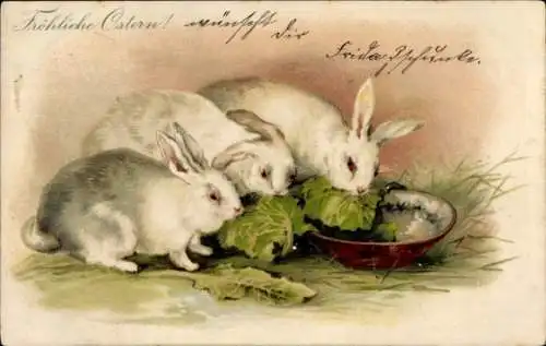 Litho Glückwunsch Ostern, Osterhasen essen Salatblätter