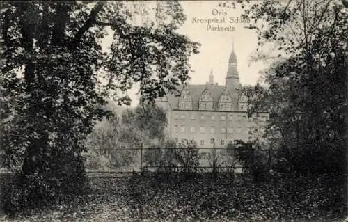 Ak Oleśnica Oels Schlesien, Kronprinzliches Schloss, Parkseite